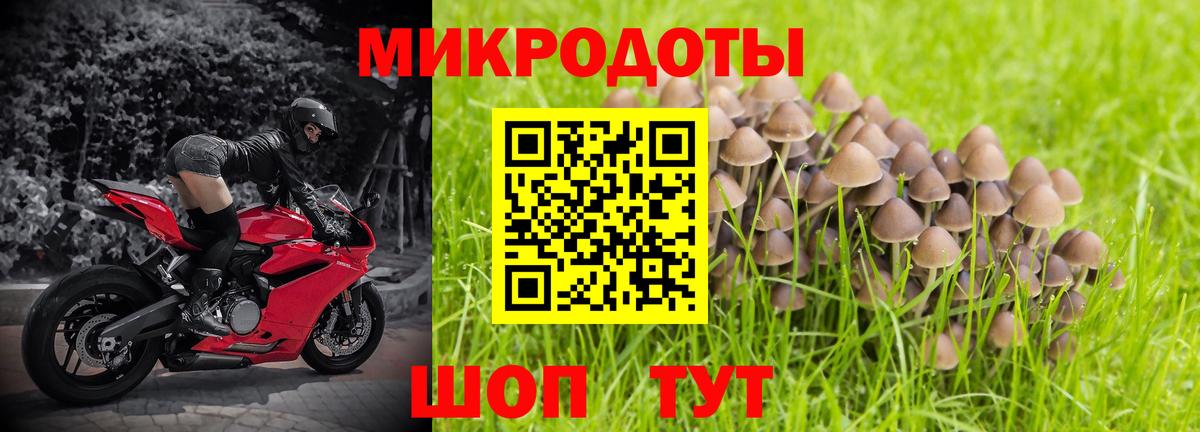 Псилоцибиновые грибы прущие грибы  Вход с VPN  Боровичи 