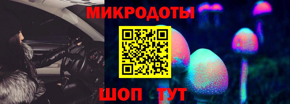 Псилоцибиновые грибы прущие грибы Боровичи